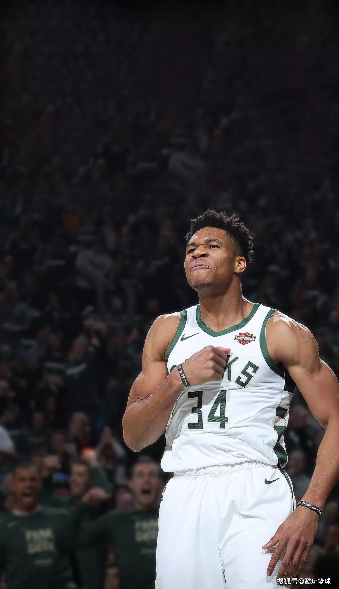 级季后赛 级季后赛