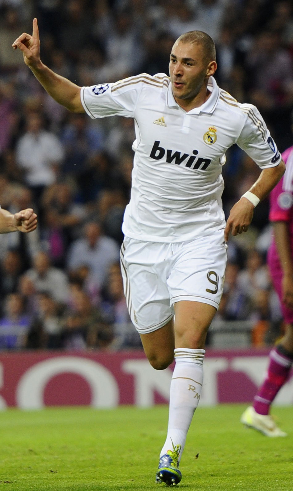 森林狼PK 森林狼PK